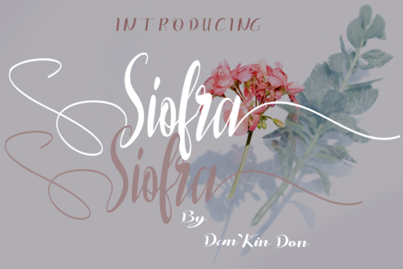Siofra: A Script Font for Elegant Web Design