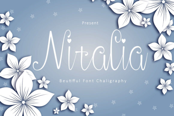 Upgrade Your Brand with Nitalia